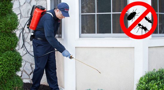 Ağlasun Kene İlaçlama böcek ilaçlama ve haşere kontrolü — ilaclama-tr.com
